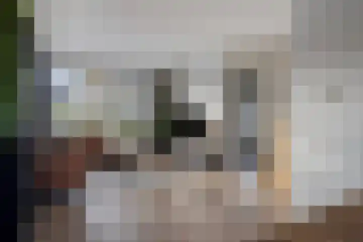Hendrik Verheeslaan 83 Boxtel thumbnail 17