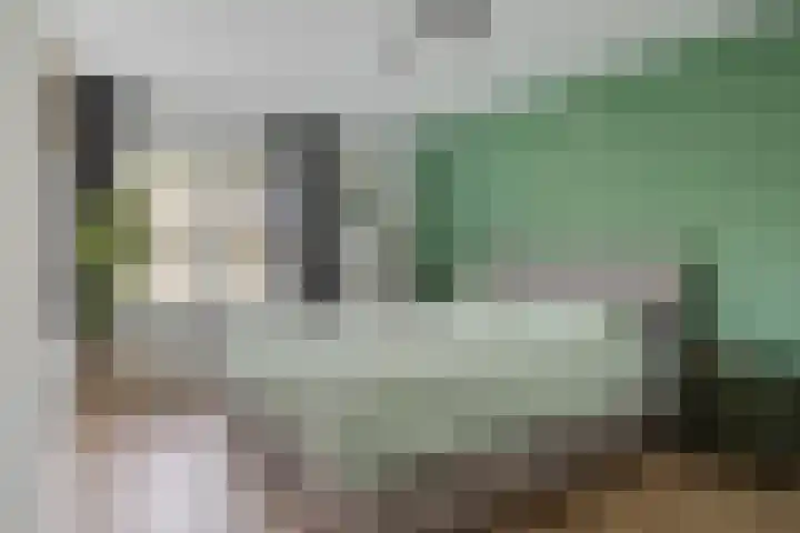 Hendrik Verheeslaan 83 Boxtel thumbnail 23