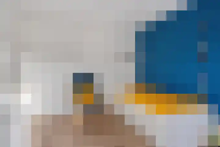 Hendrik Verheeslaan 83 Boxtel thumbnail 27