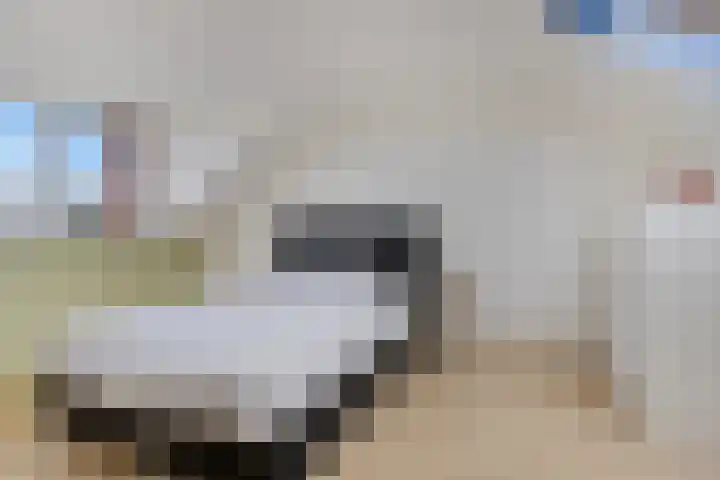 Hendrik Verheeslaan 83 Boxtel thumbnail 34