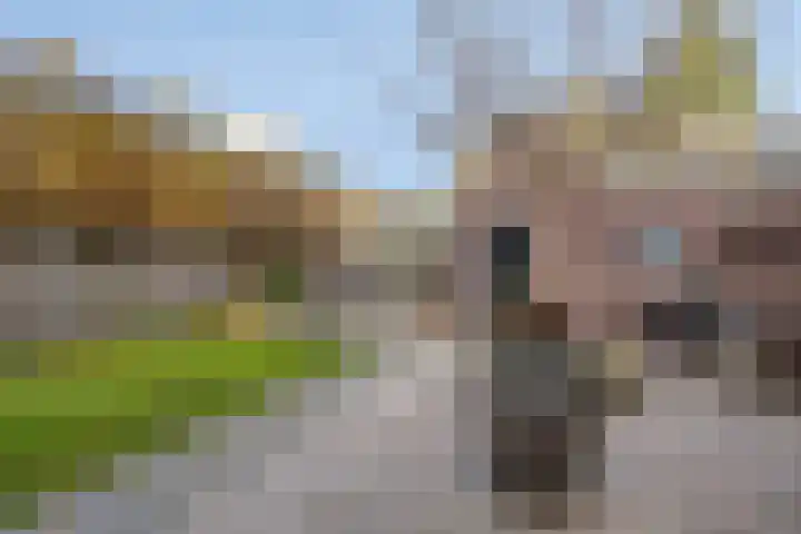 Hendrik Verheeslaan 83 Boxtel thumbnail 37