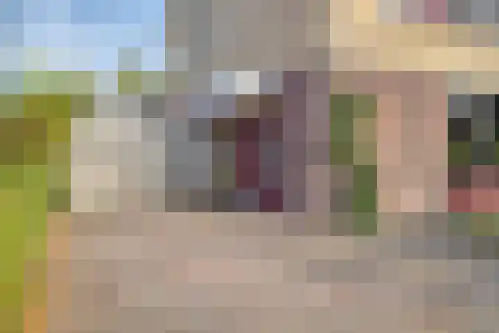 Hendrik Verheeslaan 83 Boxtel thumbnail 7