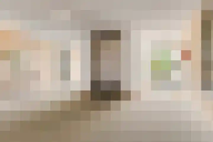 Hendrik Verheesstraat 18 Deventer thumbnail 8