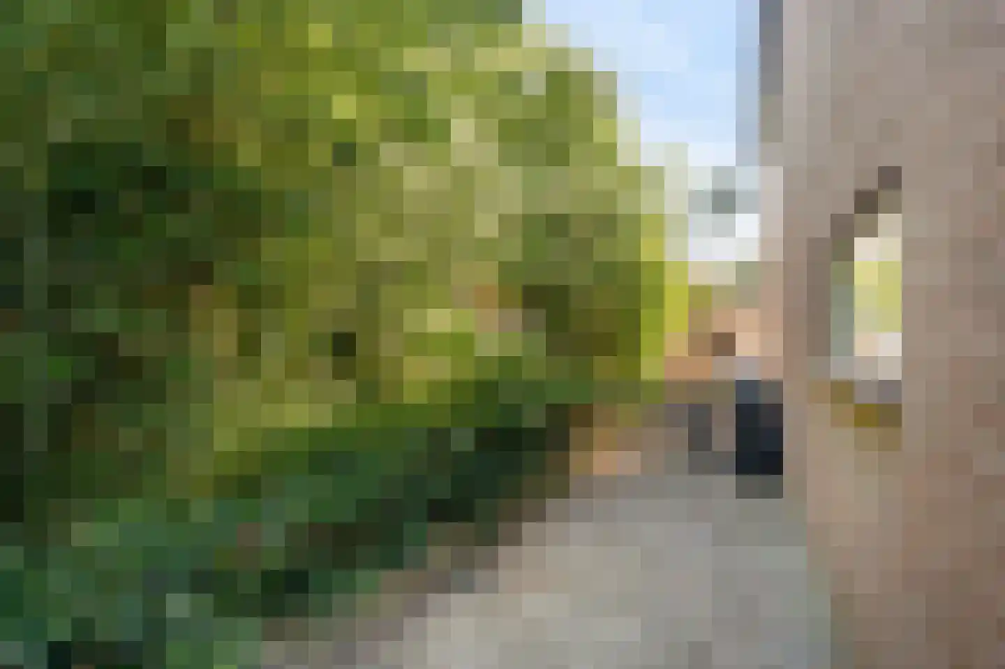 Hendrik Vinkhof 37 Noordwijk thumbnail 16