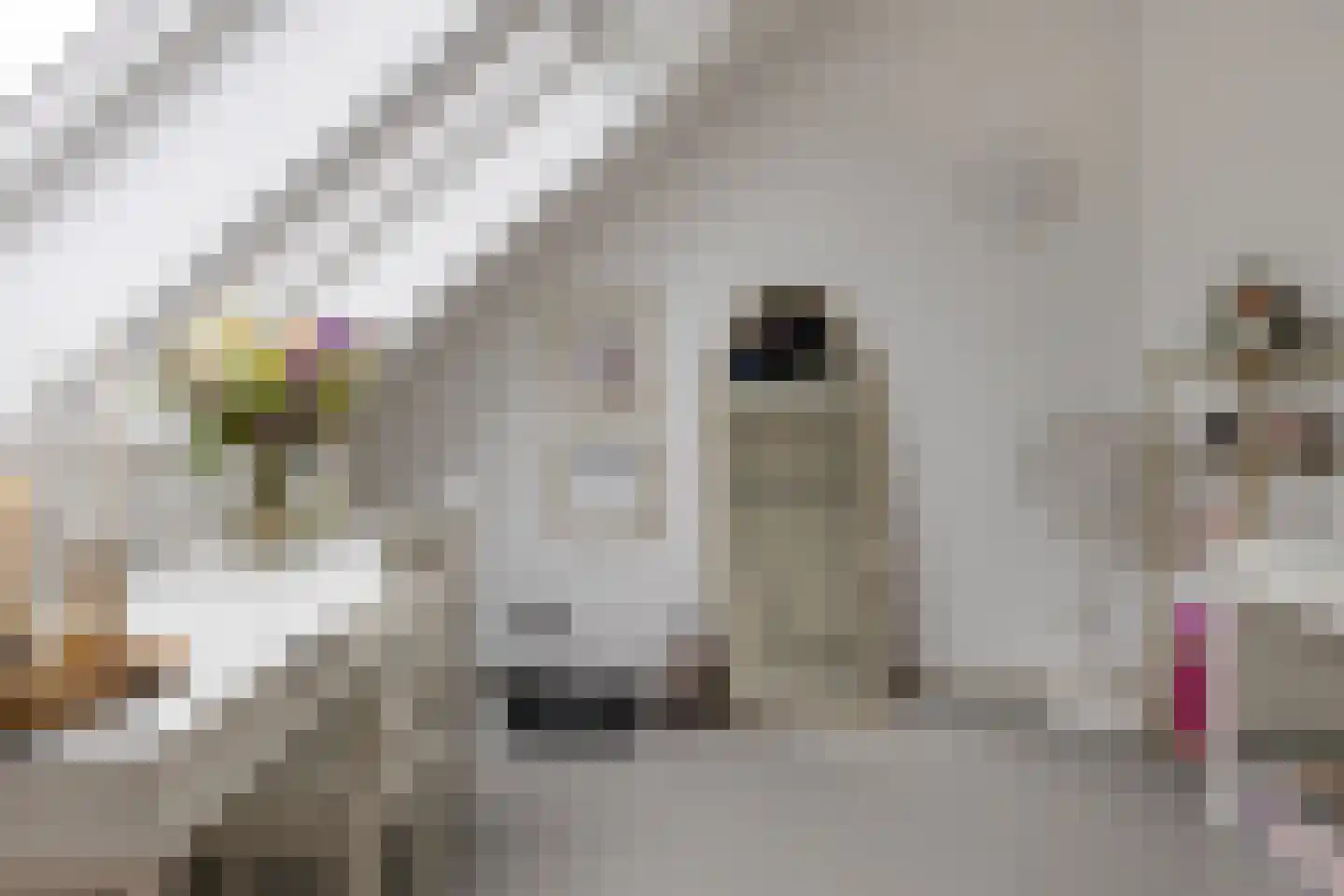 Hendrik Wagemakerstraat 21 Zuidoostbeemster thumbnail 36