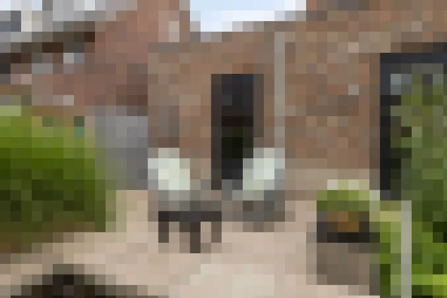 Hendrik Wagemakerstraat 21 Zuidoostbeemster thumbnail 43