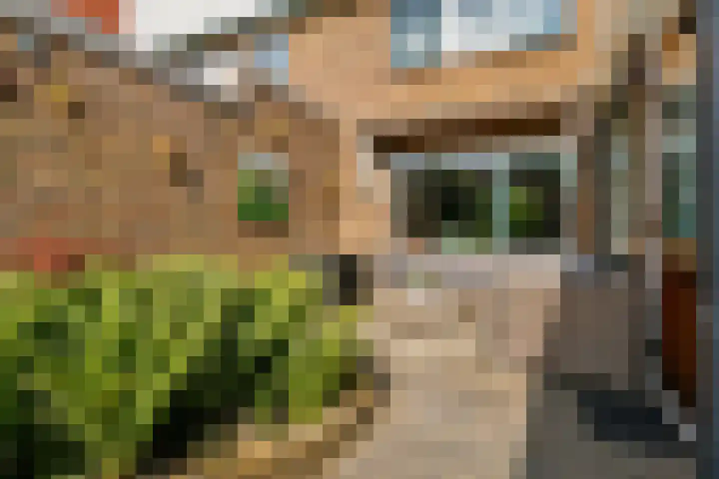Hendrik Wagemakerstraat 7 Zuidoostbeemster thumbnail 16