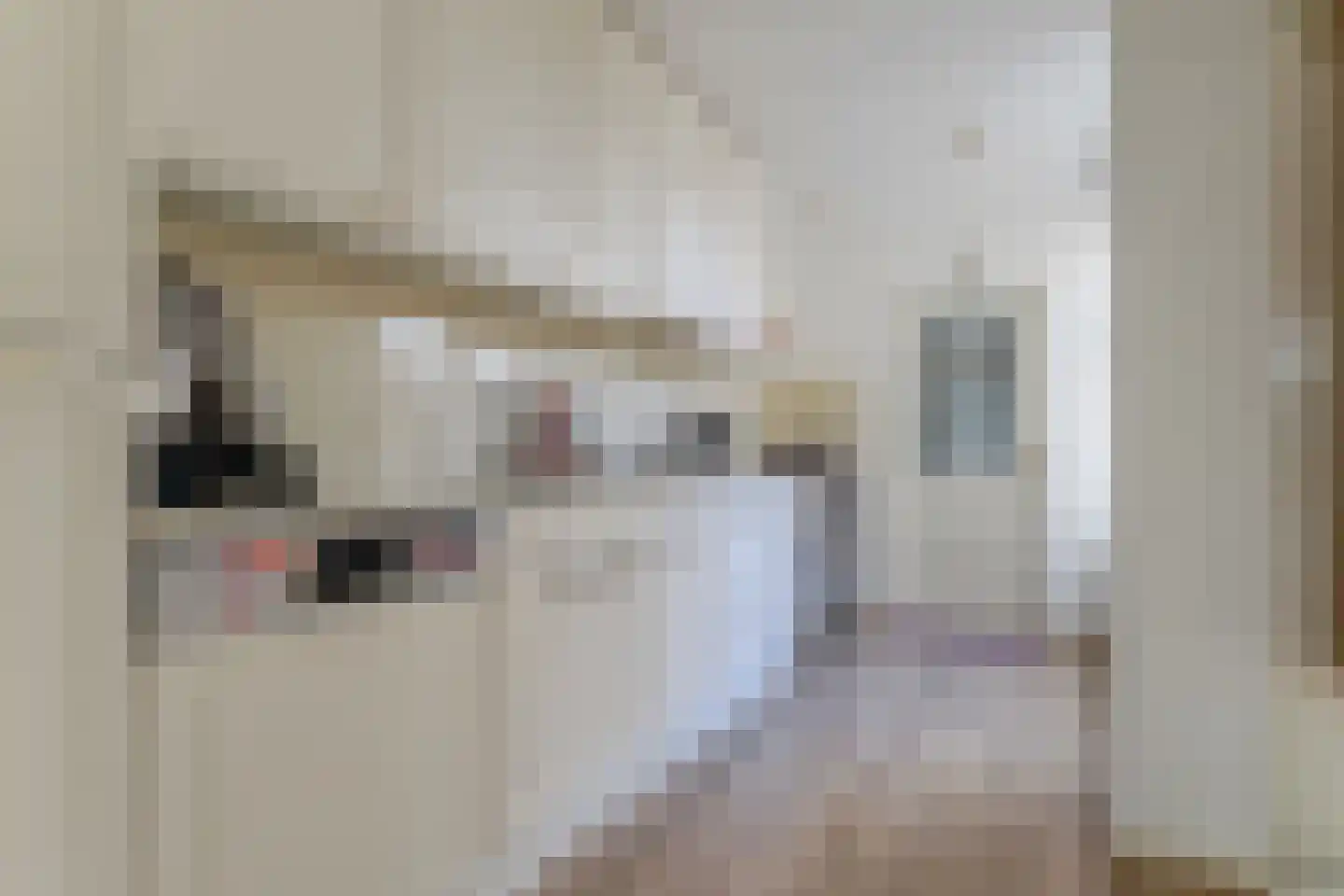 Hendrik Wagemakerstraat 7 Zuidoostbeemster thumbnail 4
