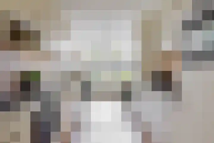 Hendrik Werkmanhof 14 Utrecht thumbnail 10