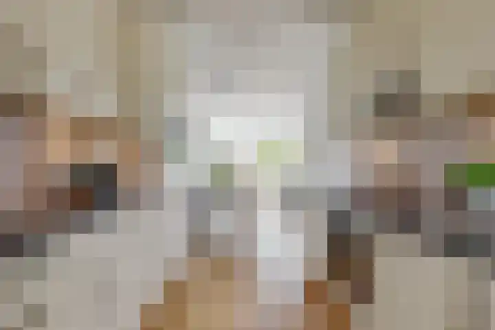 Hendrik Werkmanhof 14 Utrecht thumbnail 11