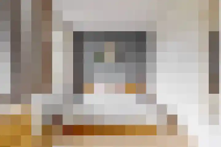 Hendrik Werkmanhof 14 Utrecht thumbnail 15