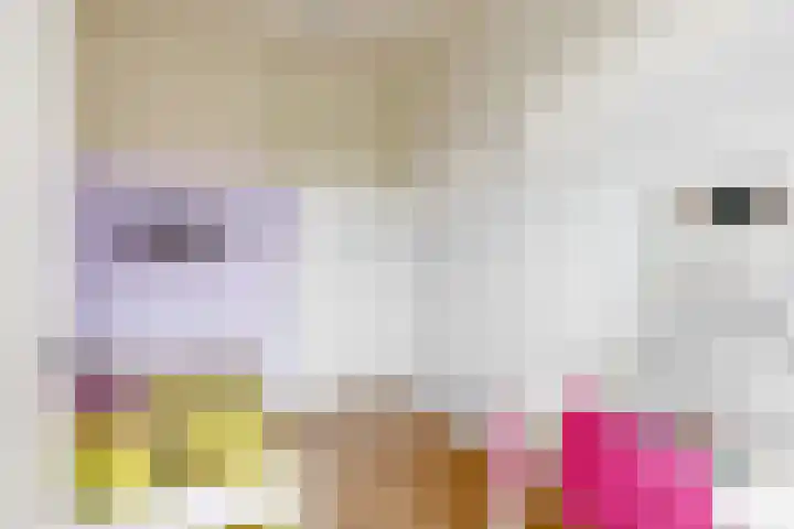 Hendrik Werkmanhof 14 Utrecht thumbnail 18