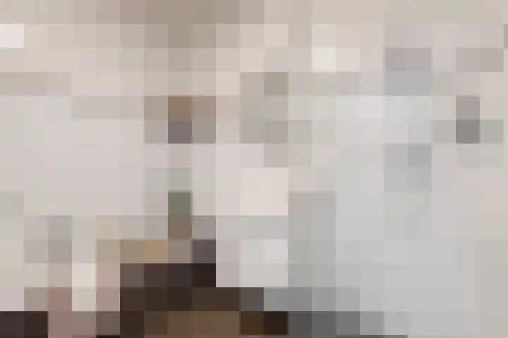 Hendrik Werkmanhof 14 Utrecht thumbnail 21