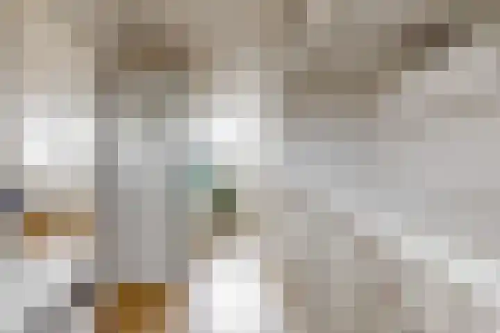 Hendrik Werkmanhof 14 Utrecht thumbnail 26