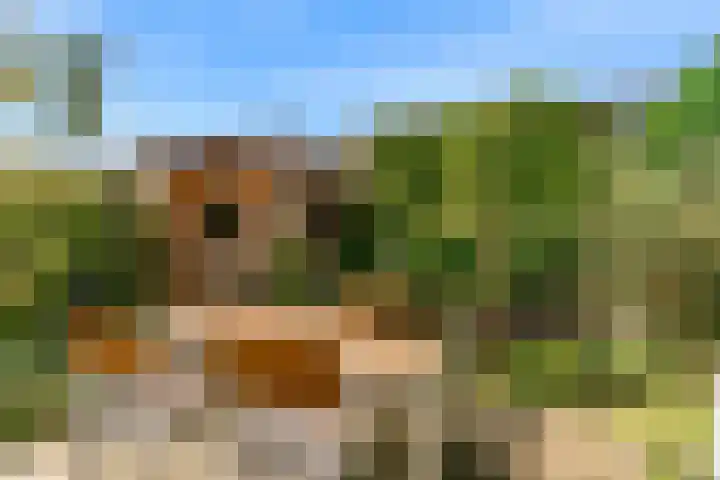 Hendrik Werkmanhof 14 Utrecht thumbnail 30