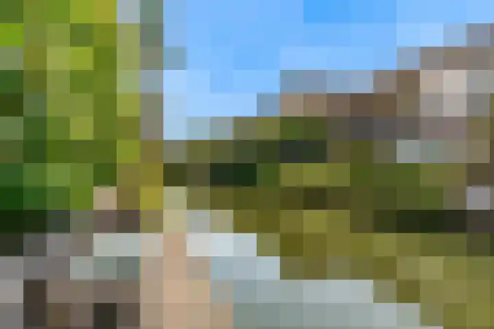 Hendrik Werkmanhof 14 Utrecht thumbnail 32