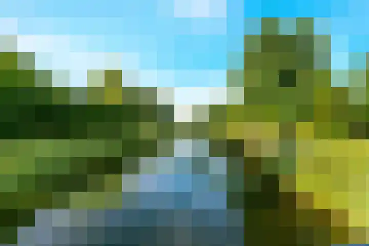 Hendrik Werkmanhof 14 Utrecht thumbnail 39