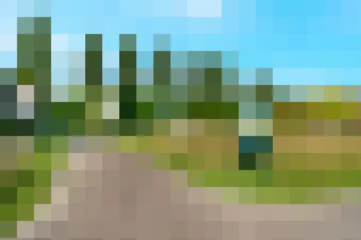 Hendrik Werkmanhof 14 Utrecht thumbnail 40