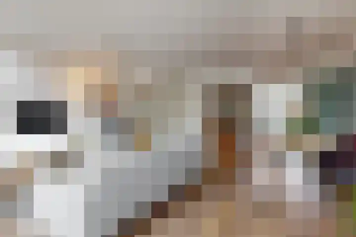 Hendrik Werkmanhof 14 Utrecht thumbnail 7