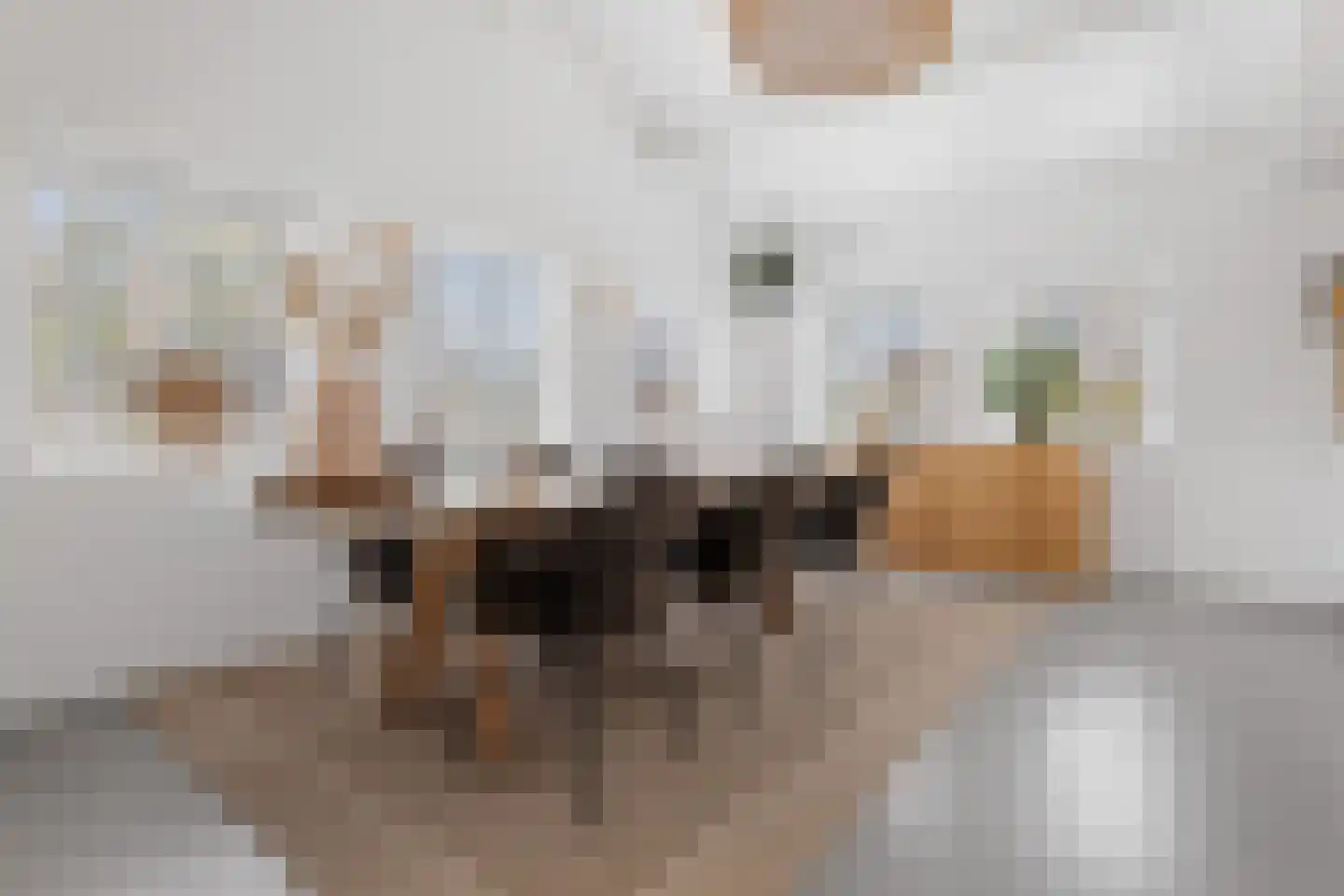 Hendrik Werkmanhof 2 Veendam thumbnail 13