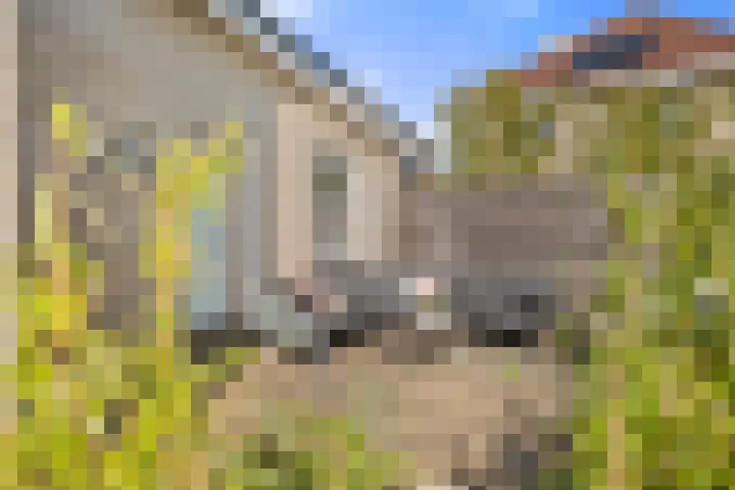 Hendrik Werkmanhof 2 Veendam thumbnail 45