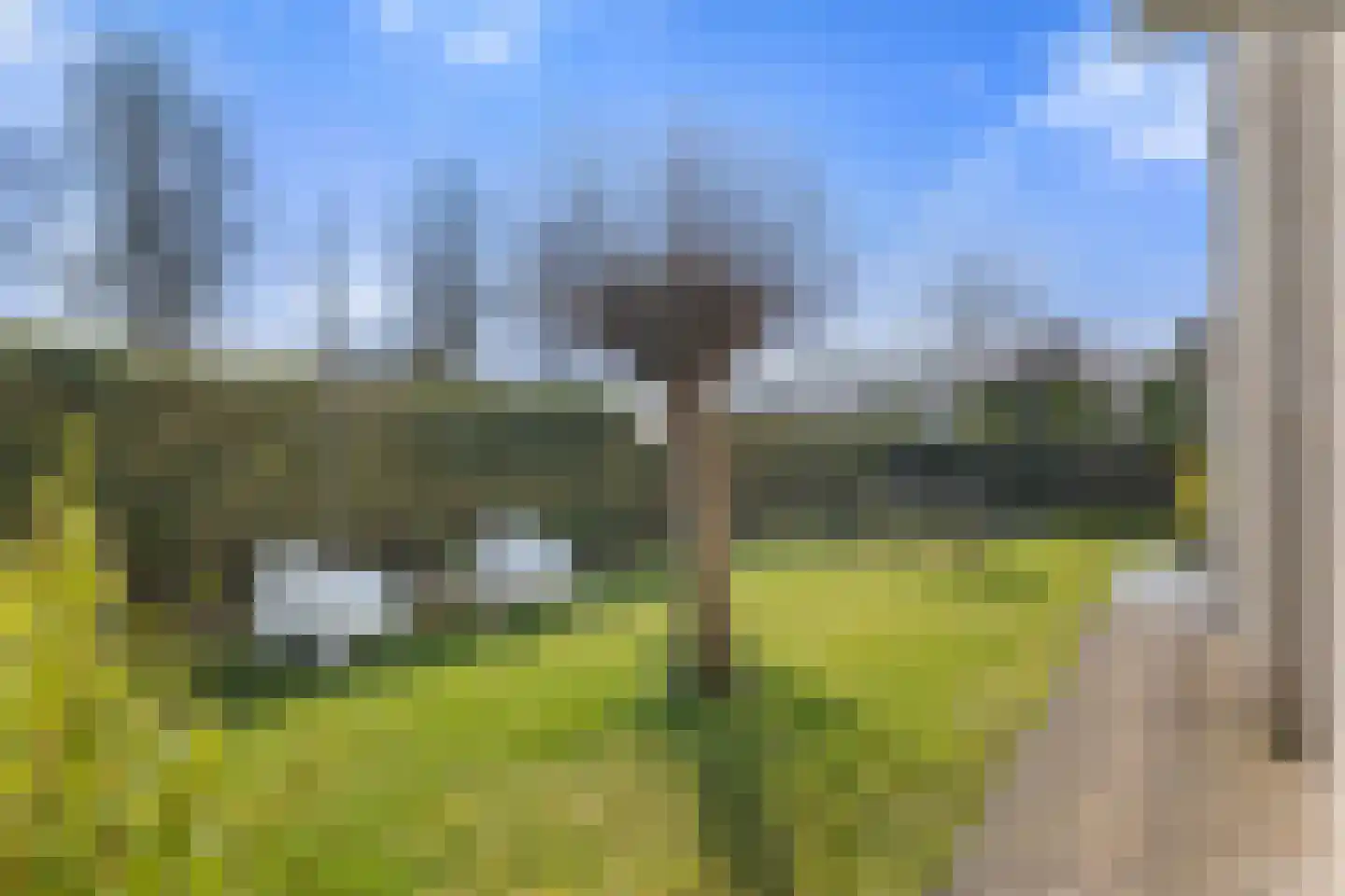 Hendrik Werkmanhof 2 Veendam thumbnail 48