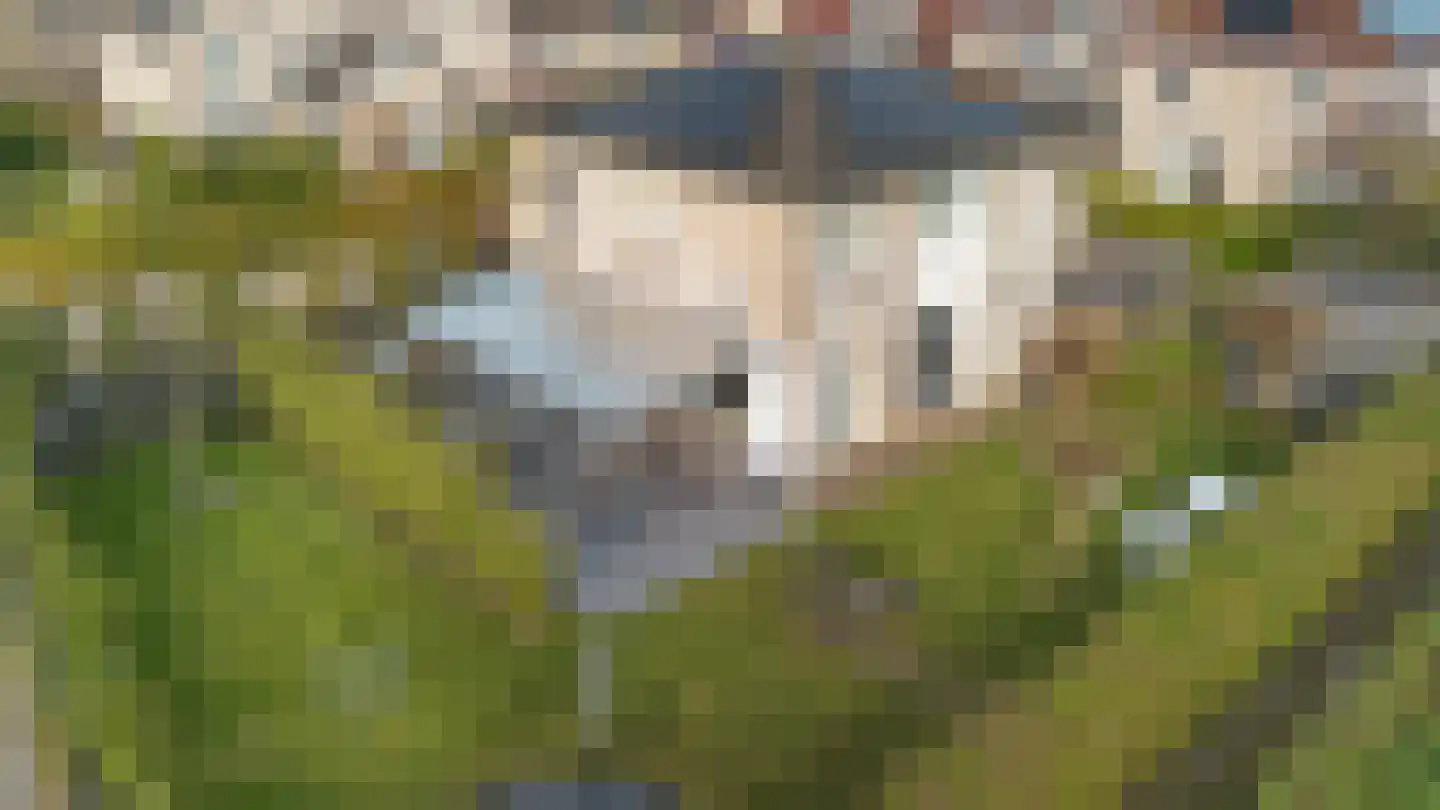 Hendrik Werkmanhof 2 Veendam thumbnail 5