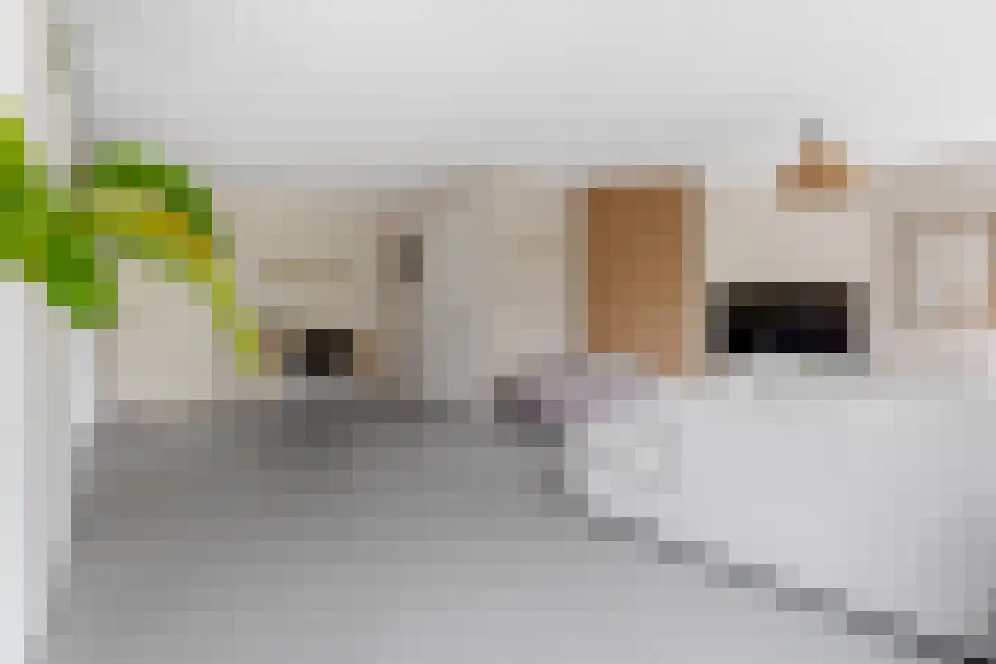 Hendrik Werkmanhof 2 Veendam thumbnail 8