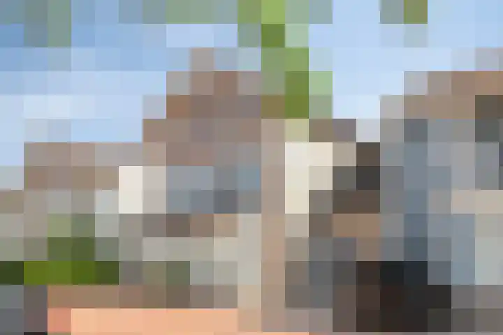 Hendrik Werkmanhof 30 Utrecht thumbnail 10