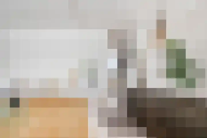 Hendrik Werkmanhof 30 Utrecht thumbnail 19