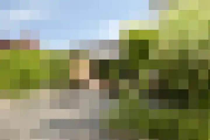 Hendrik Werkmanhof 30 Utrecht thumbnail 45