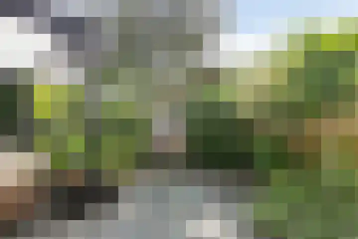 Hendrik Werkmanhof 30 Utrecht thumbnail 47