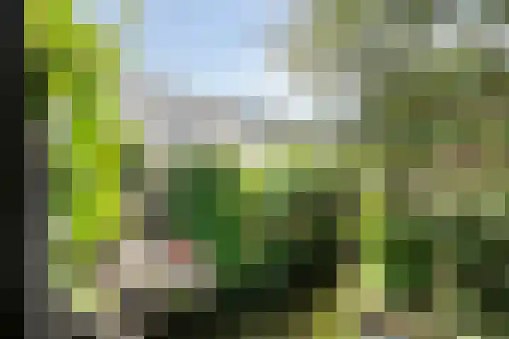 Hendrik Werkmanhof 30 Utrecht thumbnail 49