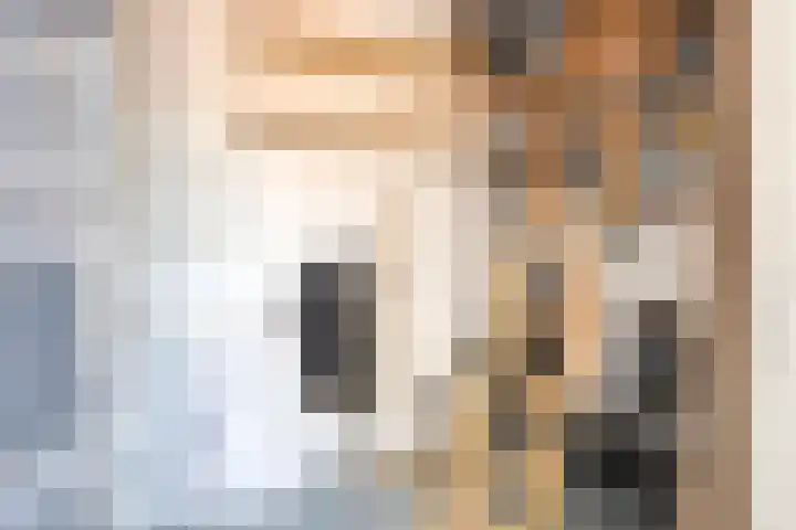 Hendrik Werkmanhof 30 Utrecht thumbnail 50