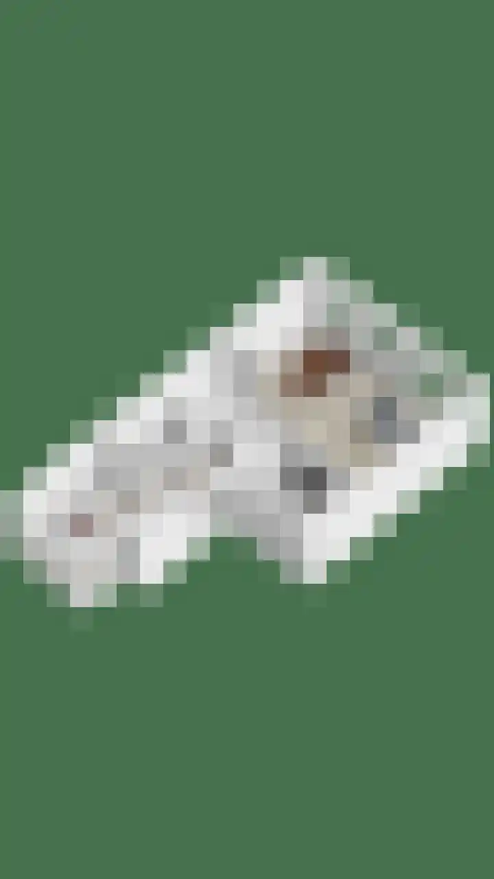 Hendrik Werkmanhof 30 Utrecht thumbnail 59