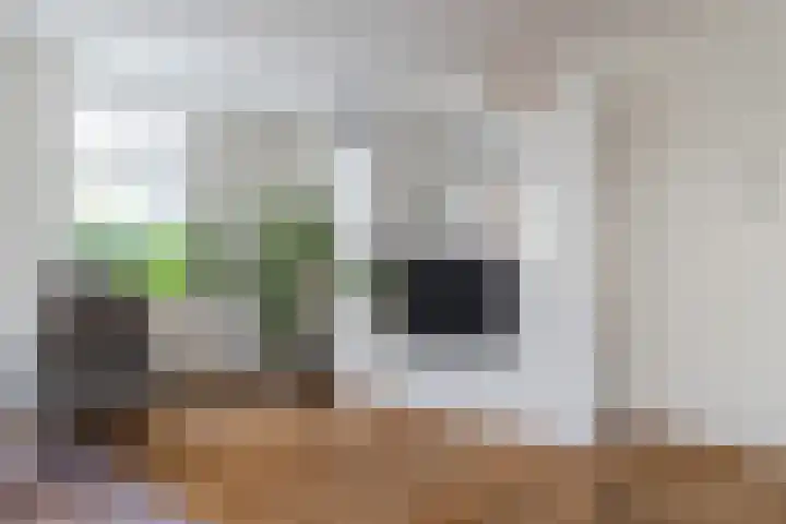 Hendrik Werkmanhof 40 Utrecht thumbnail 15