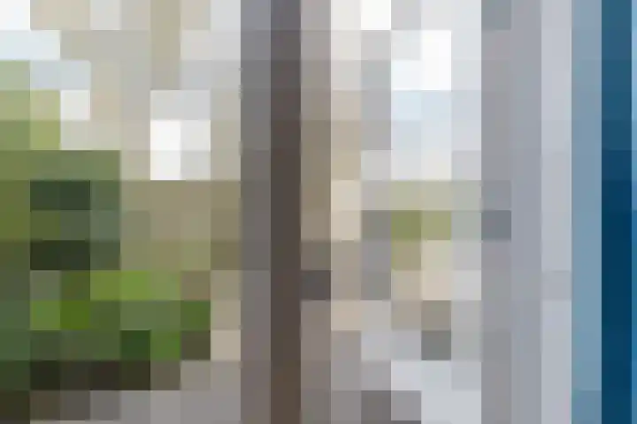 Hendrik Werkmanhof 40 Utrecht thumbnail 20