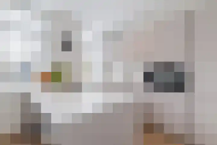 Hendrik Werkmanhof 40 Utrecht thumbnail 21