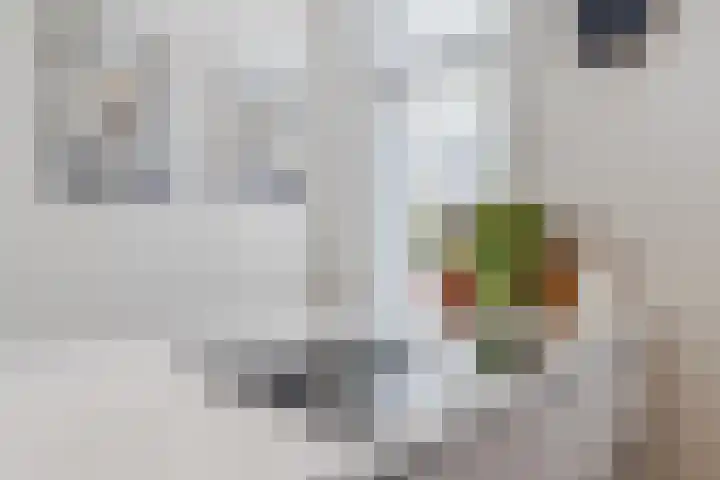 Hendrik Werkmanhof 40 Utrecht thumbnail 23