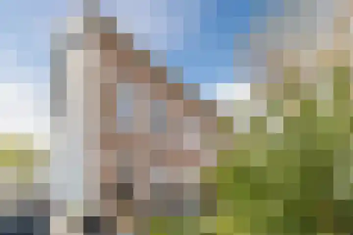 Hendrik Werkmanhof 40 Utrecht thumbnail 61