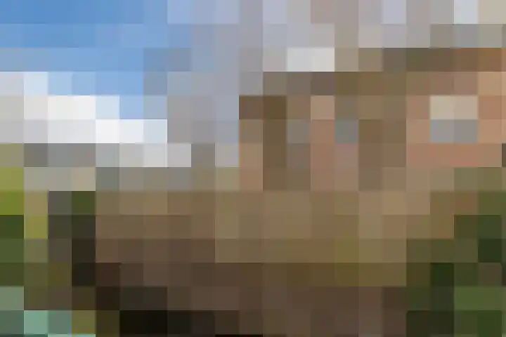 Hendrik Werkmanhof 40 Utrecht thumbnail 67