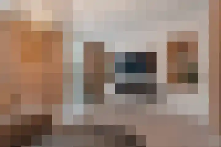 Hendrik Werkmanstraat 45 Almere thumbnail 6
