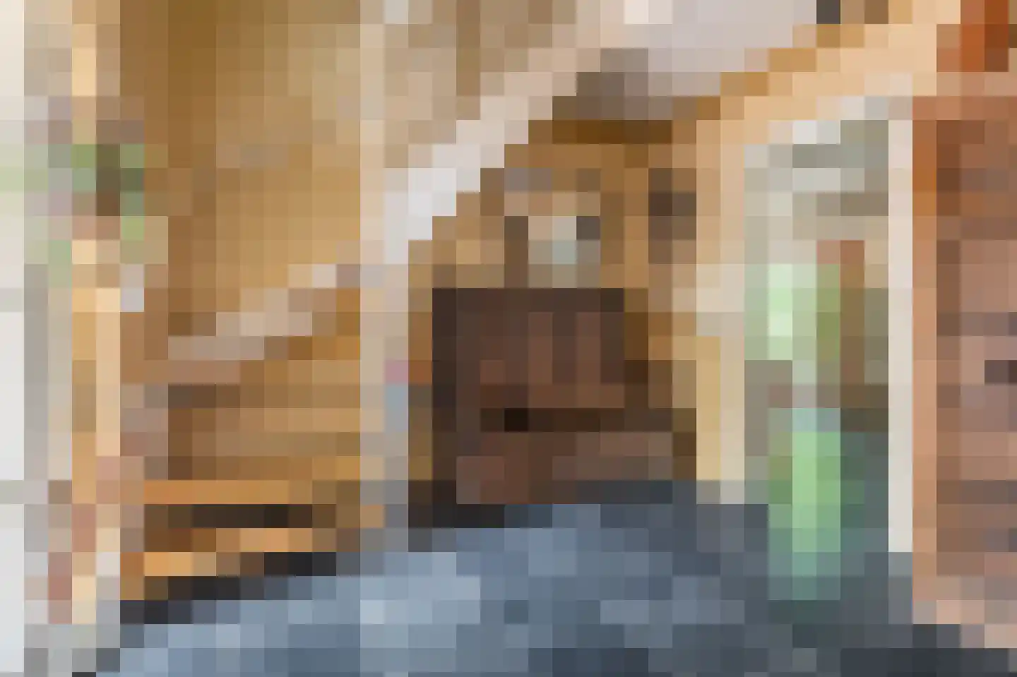 Hendrik Westerstraat 1 Oude Pekela thumbnail 14
