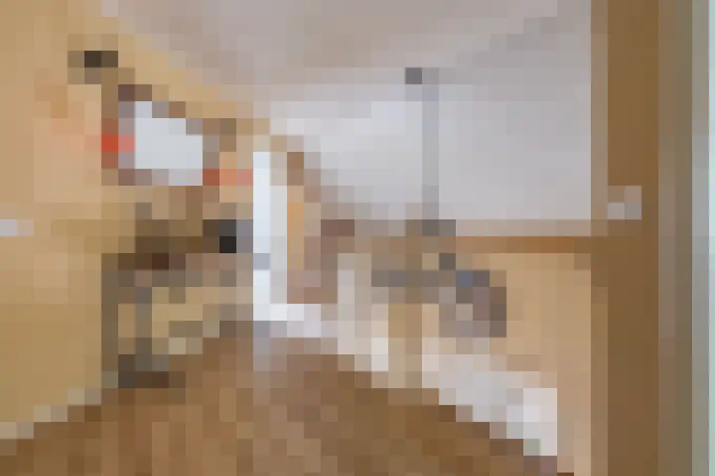 Hendrik Westerstraat 1 Oude Pekela thumbnail 31