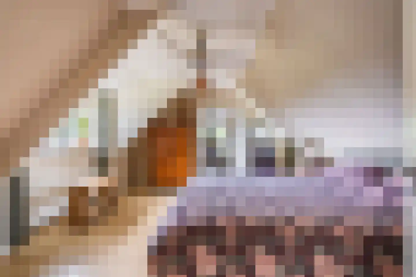 Hendrik Westerstraat 1 Oude Pekela thumbnail 43