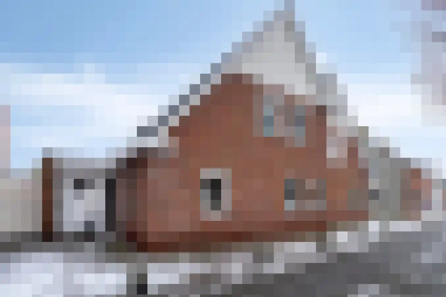 Hendrik Westerstraat 141 Oude Pekela