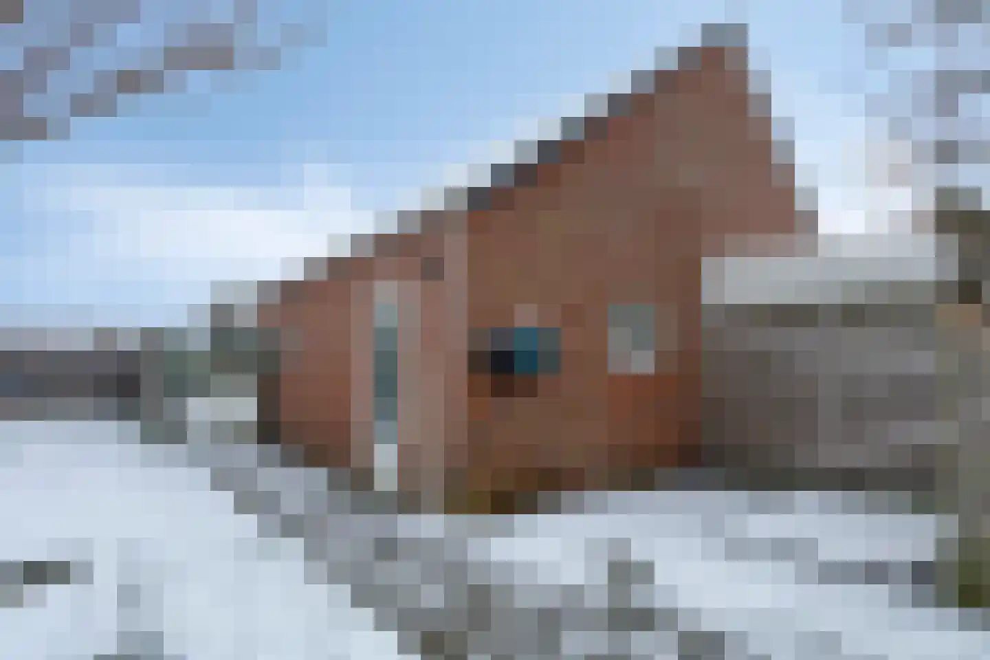 Hendrik Westerstraat 141 Oude Pekela thumbnail 41