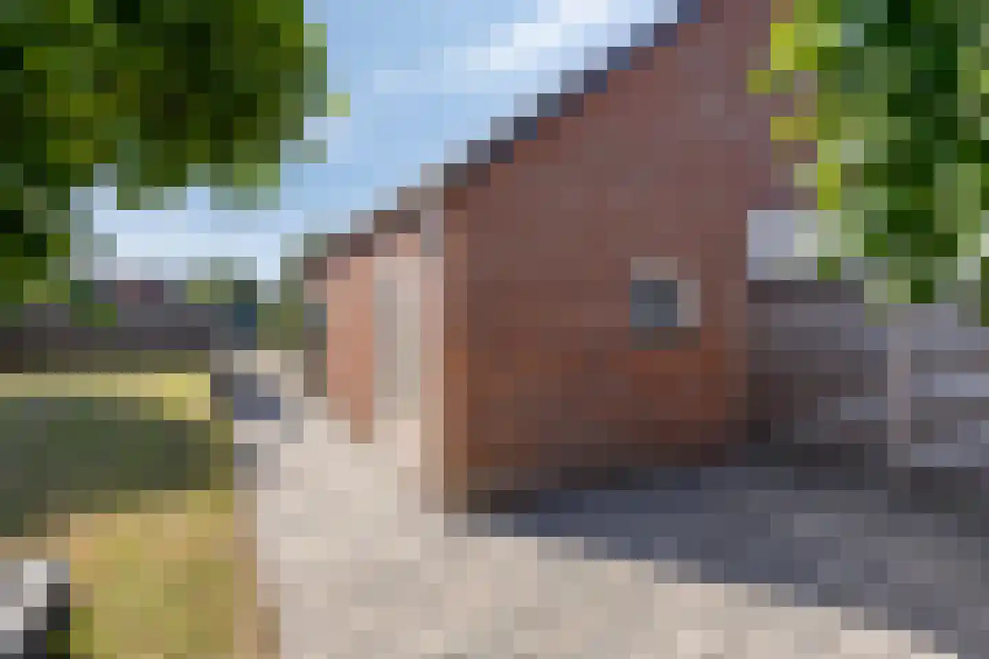 Hendrik Westerstraat 141 Oude Pekela thumbnail 44