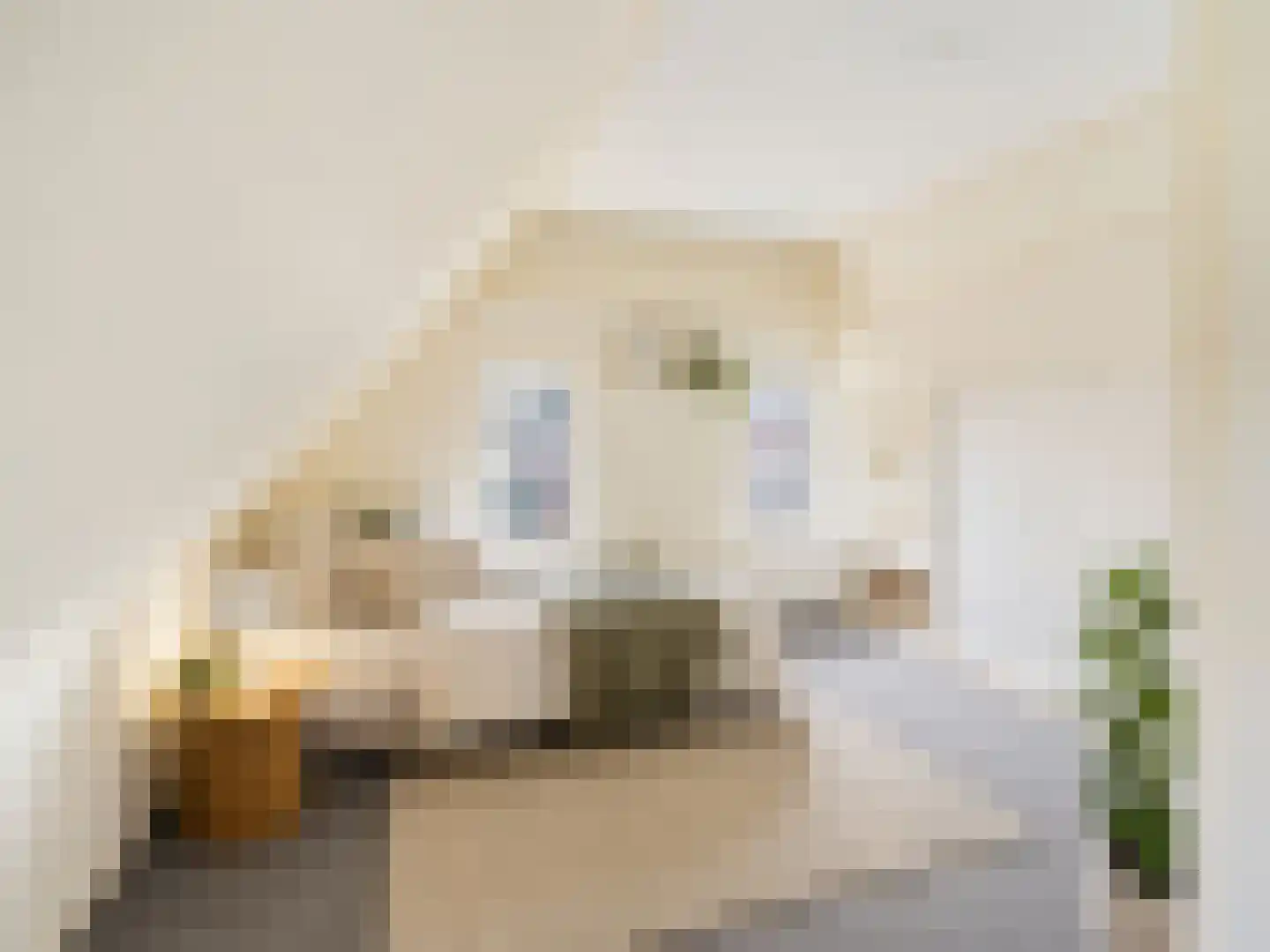 Hendrik Westerstraat 16 Ten Boer thumbnail 10