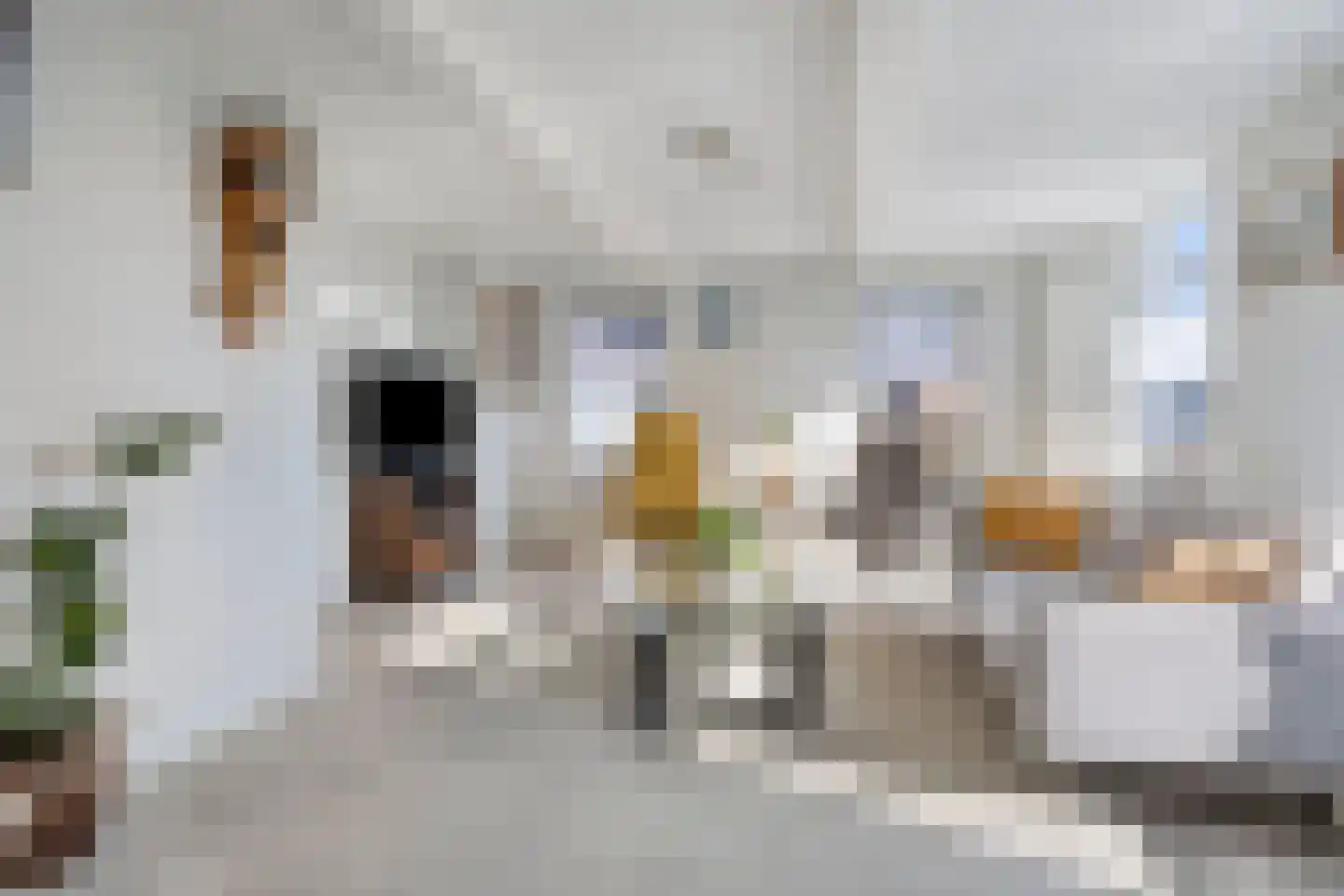 Hendrik Westerstraat 16 Ten Boer thumbnail 10